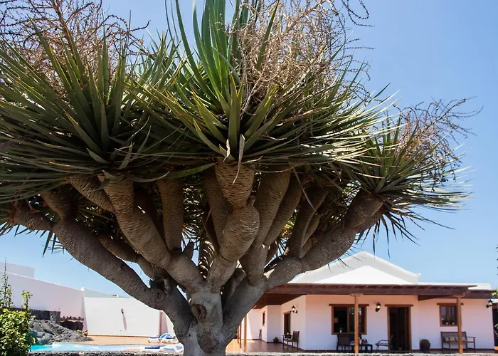 Casa Lola Lanzarote Piscina Climatizada Y Wifi Free Βίλα
